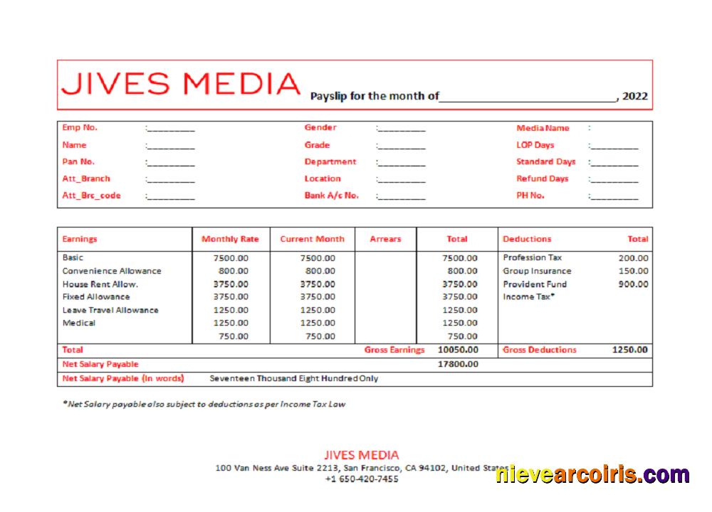 USA Jives Media advertising company pay stub